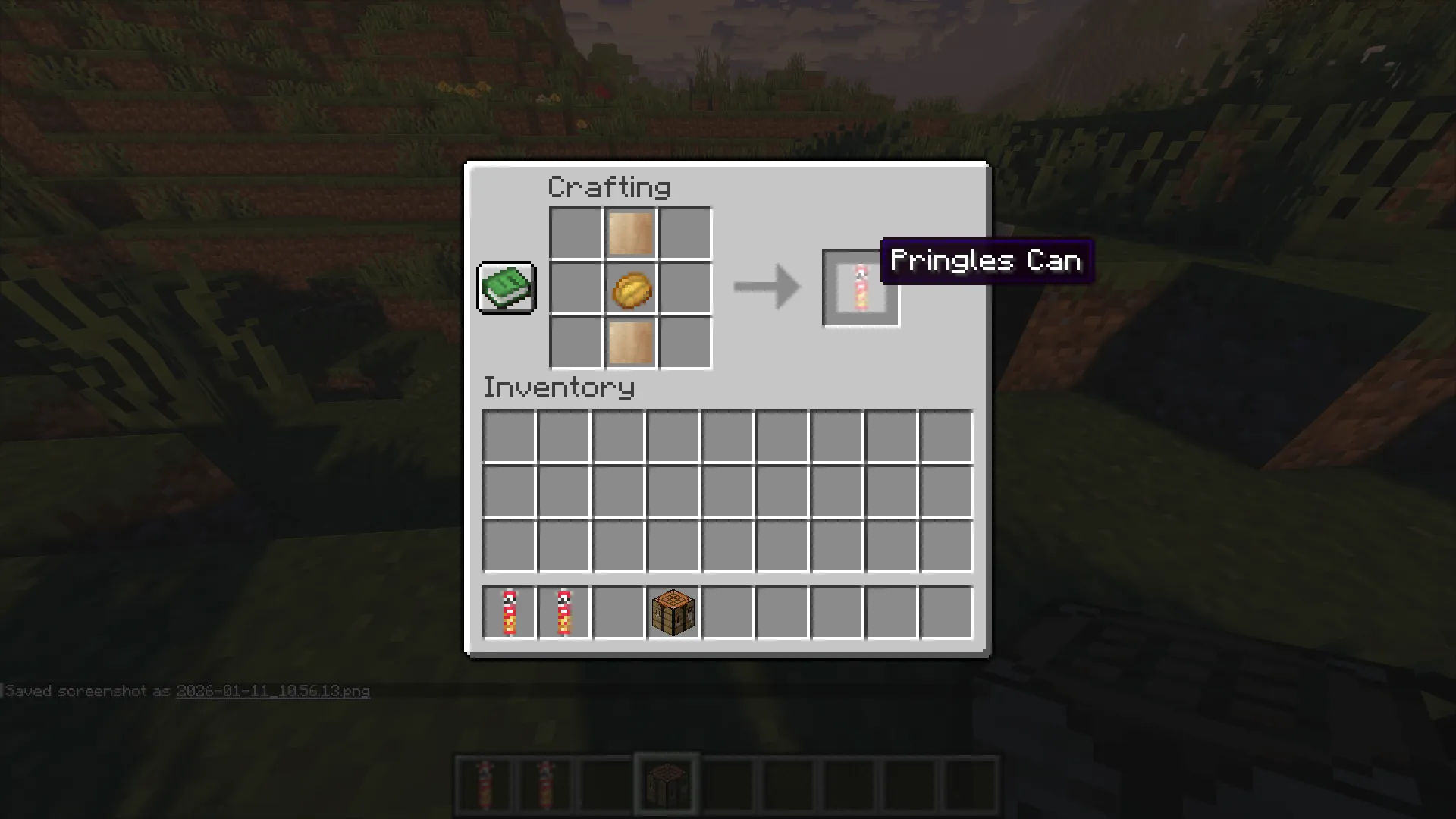 Pringles Can, Моды, Minecraft