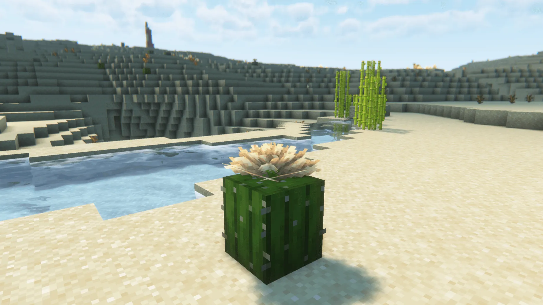 MoFlowers, Моды, Minecraft