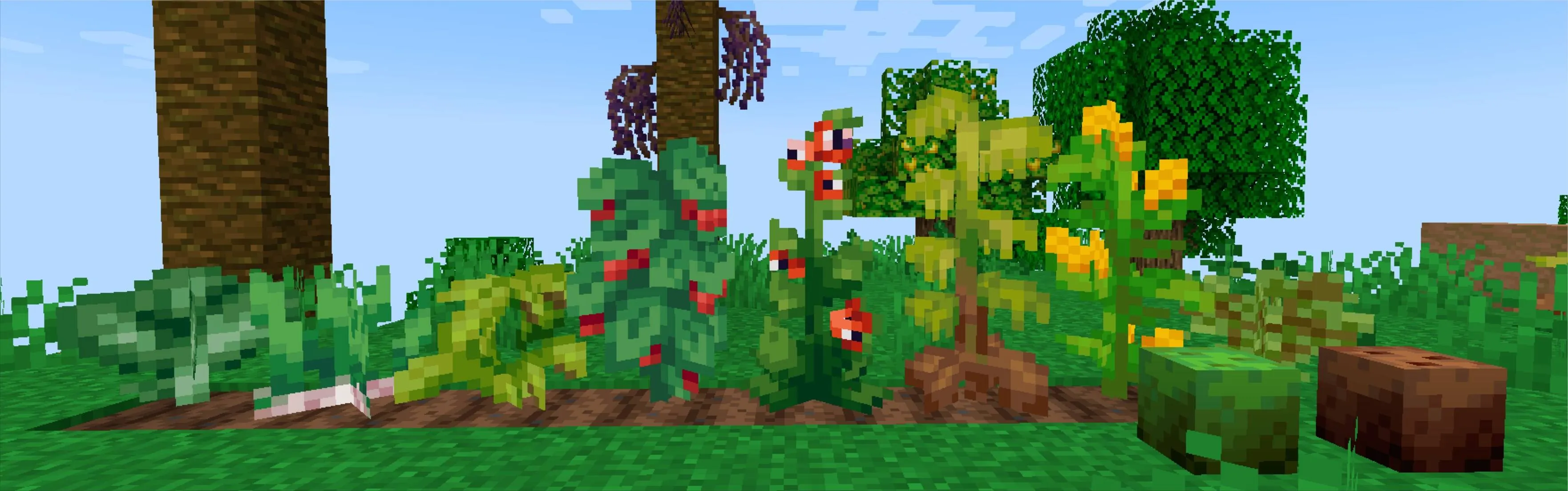 Brazilian Delight, Моды, Minecraft