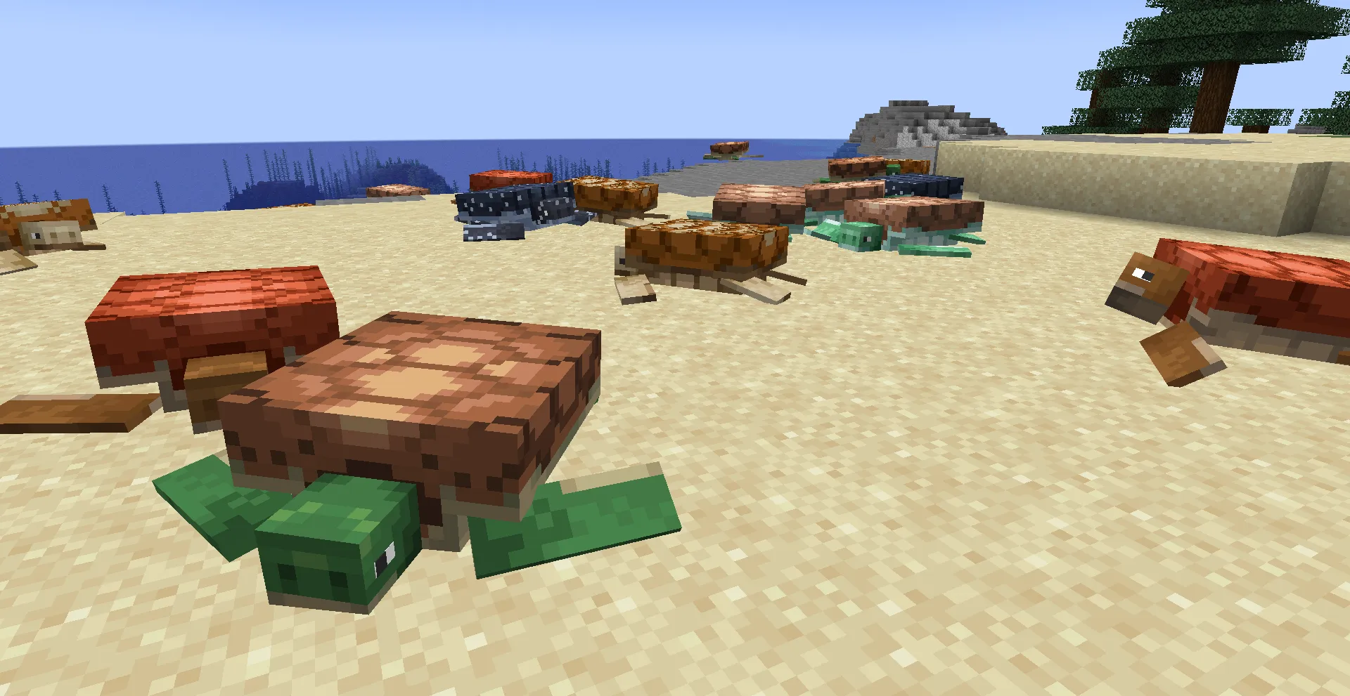 Fresh Better Turtle Variants, Текстуры, Minecraft