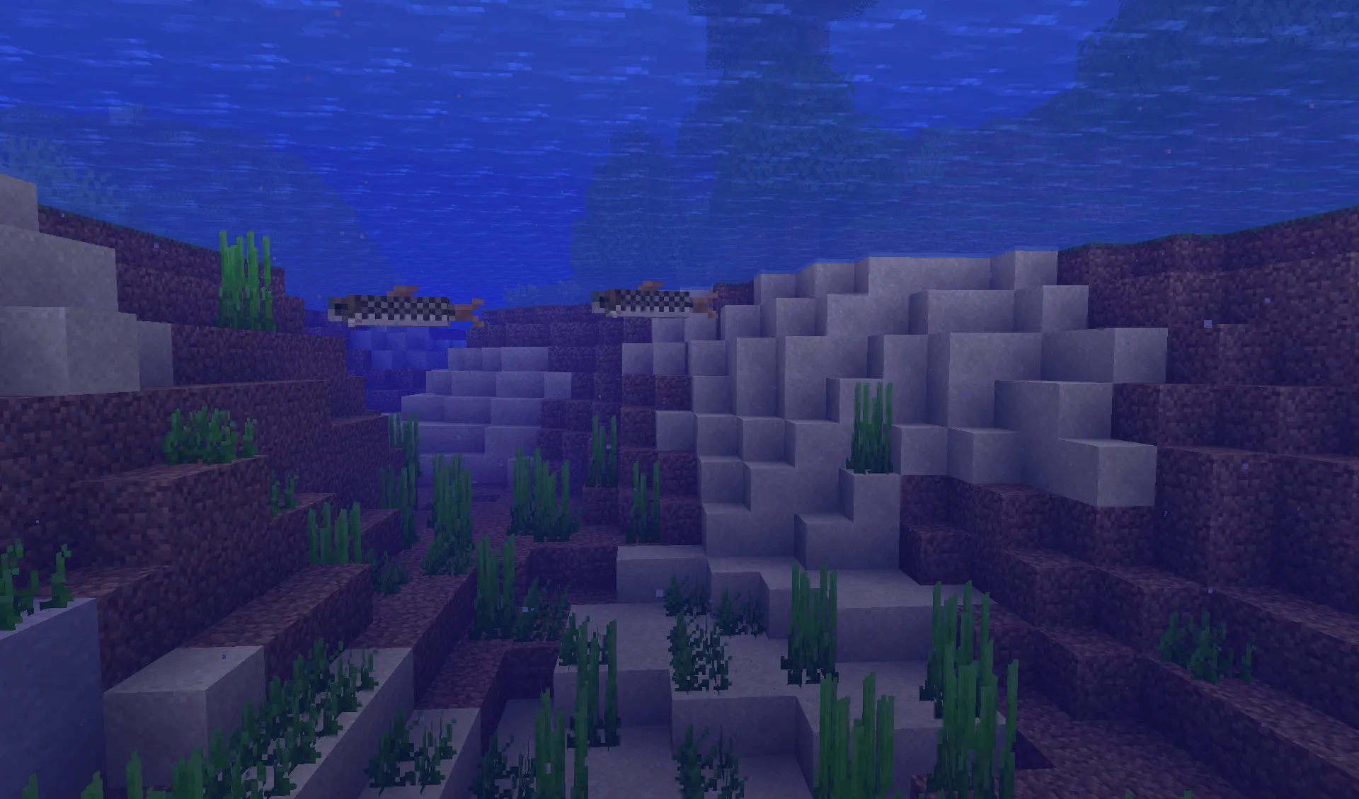 Withered Lands, Моды, Minecraft