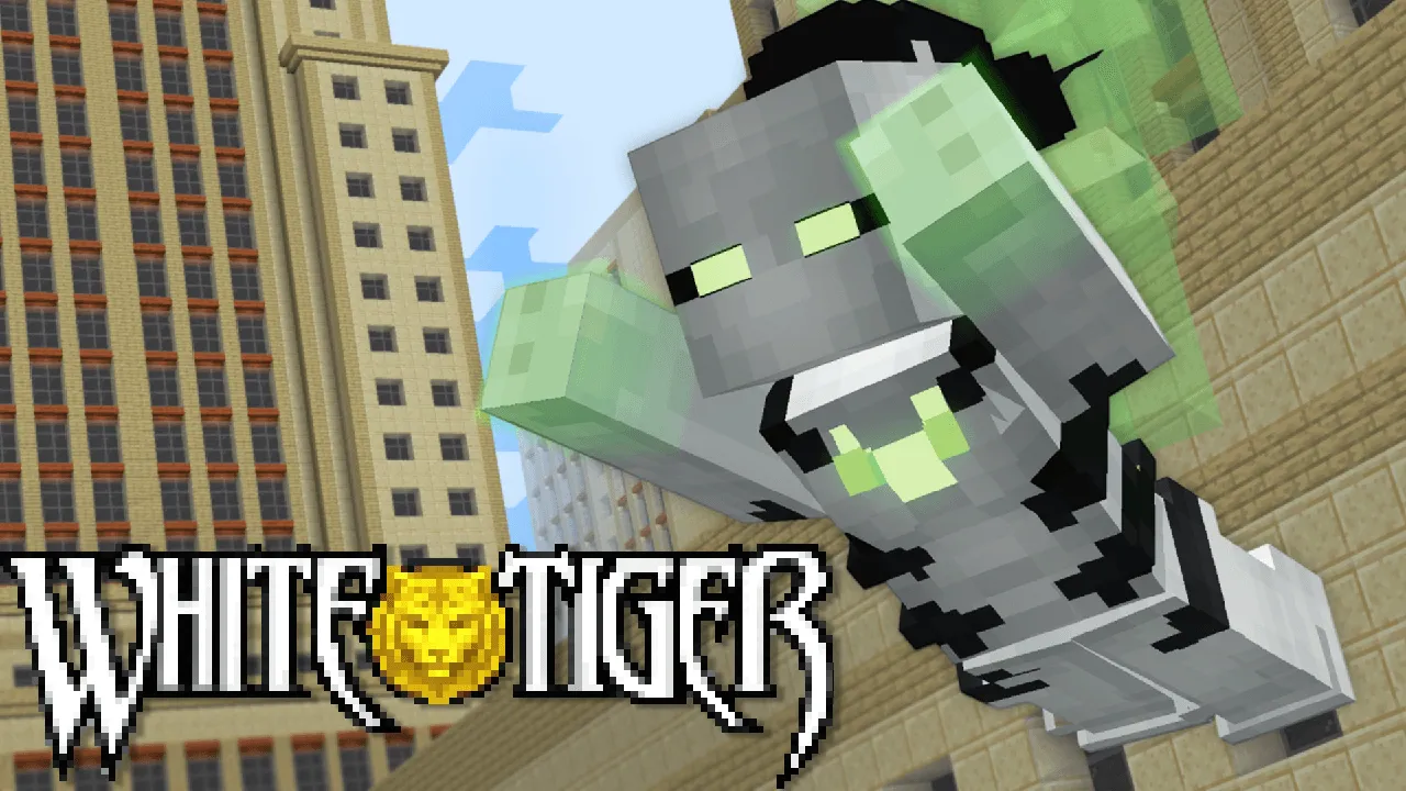 RunnyHero's Heroes, Кастомизации, Minecraft