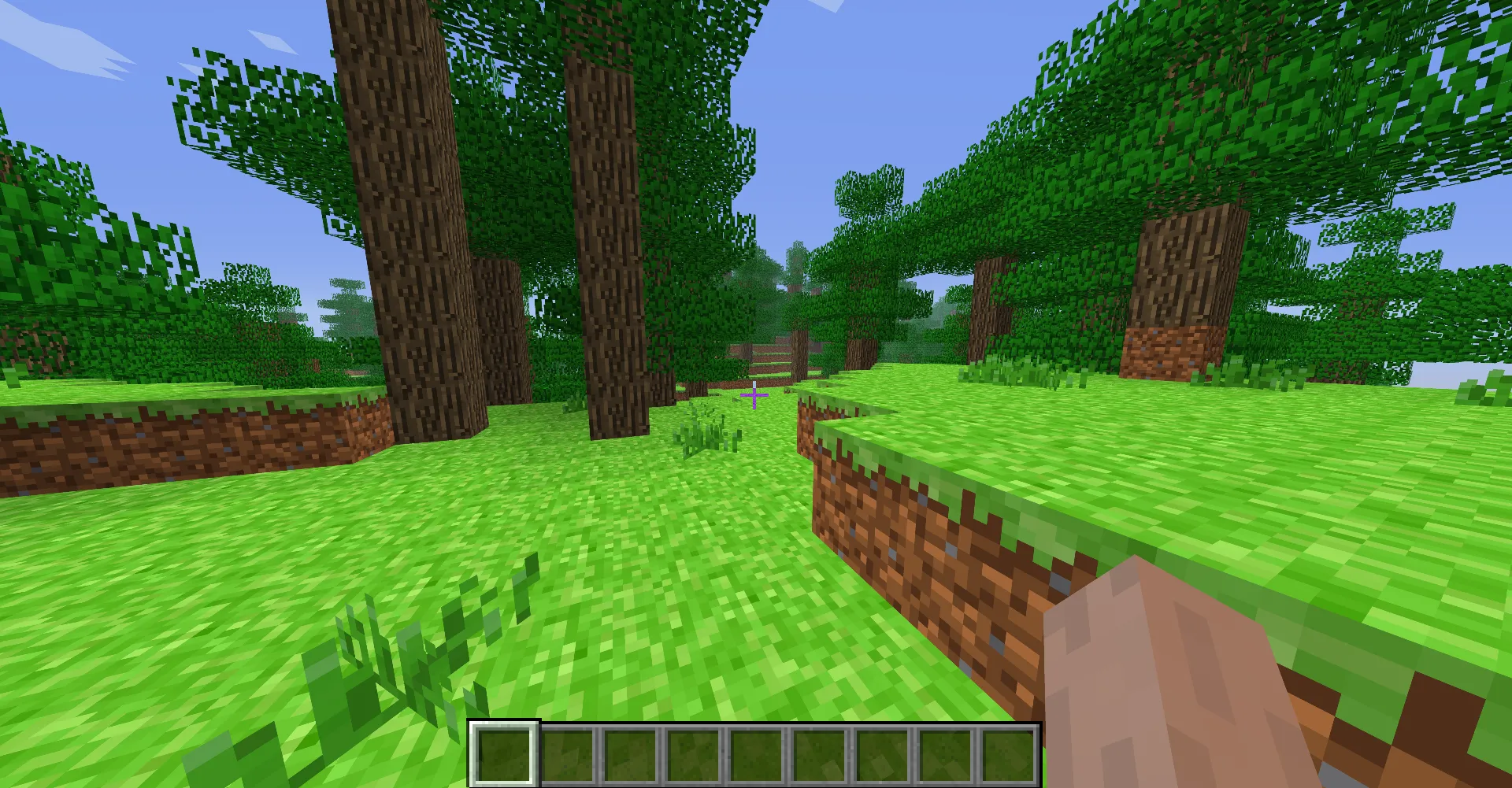Early Beta Minecraft, Текстуры, Minecraft