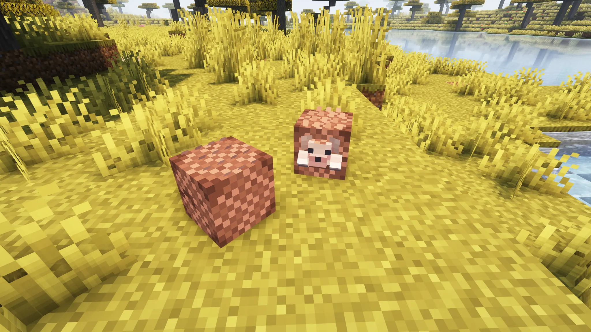 Hedgehog pack — скриншот 3 (Текстуры, Minecraft)