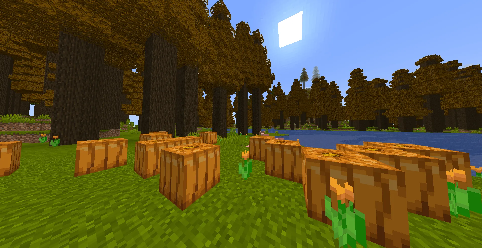 Biome Bonanza! — скриншот 5 (Моды, Minecraft)