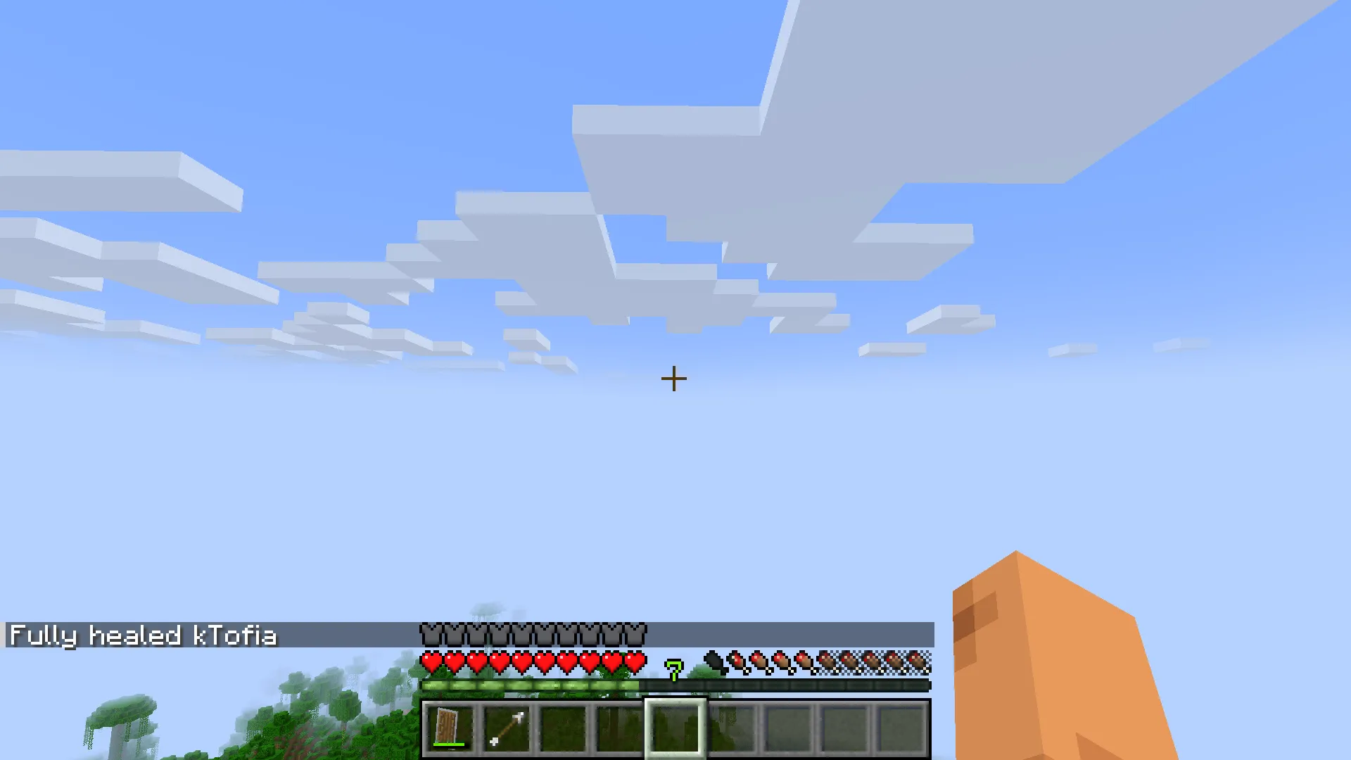Heal Command — скриншот 2 (Моды, Minecraft)
