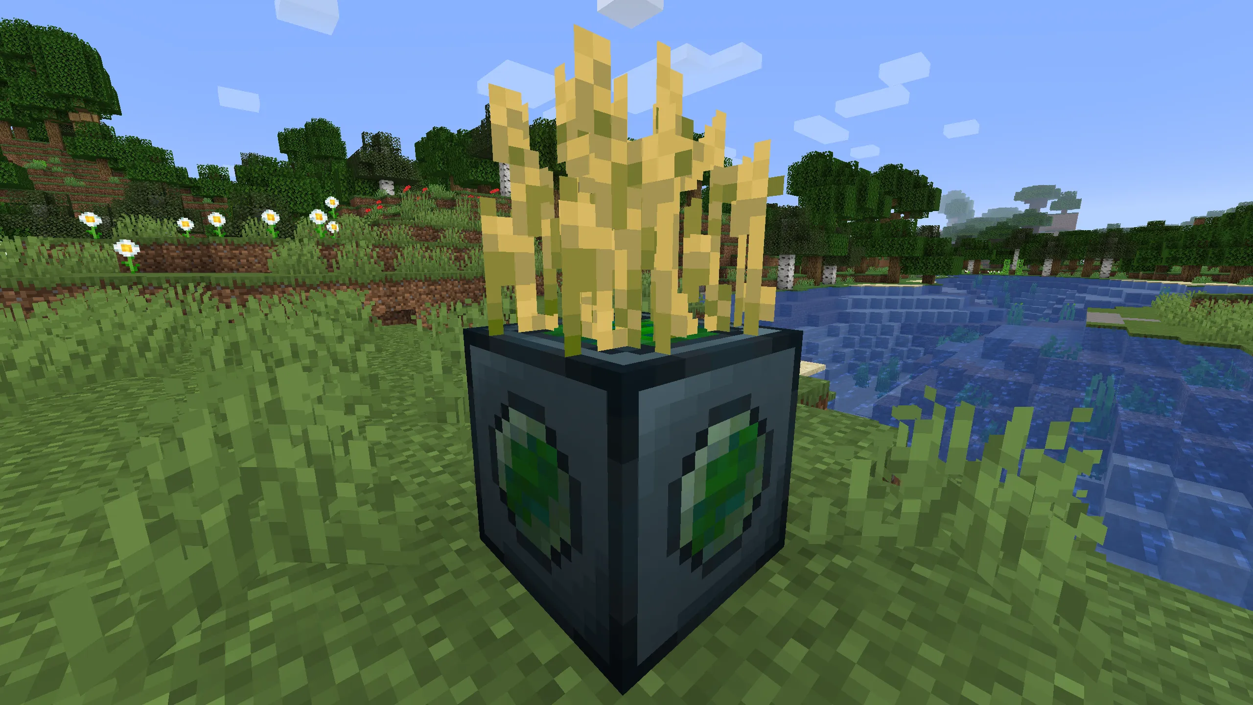 Carnelian Mod, Моды, Minecraft