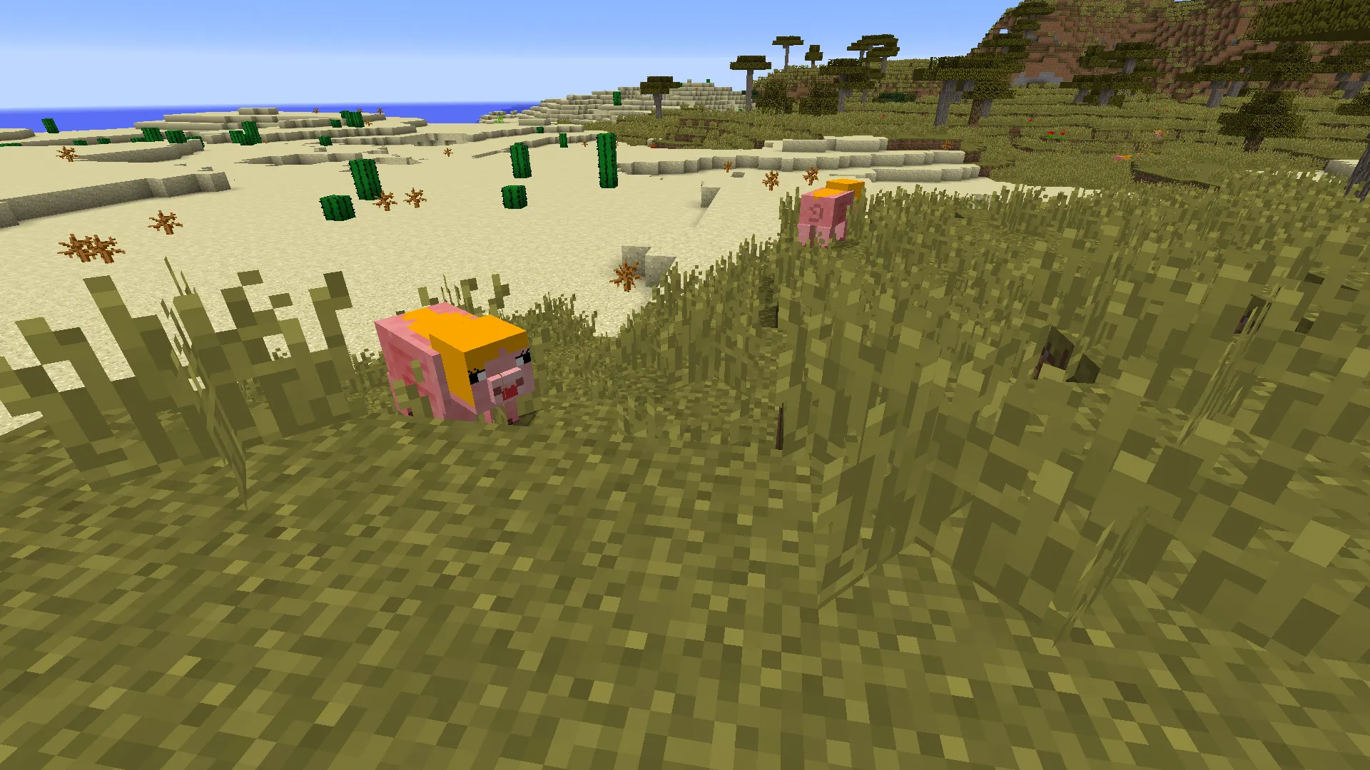 crazy_cats texture pack, Текстуры, Minecraft