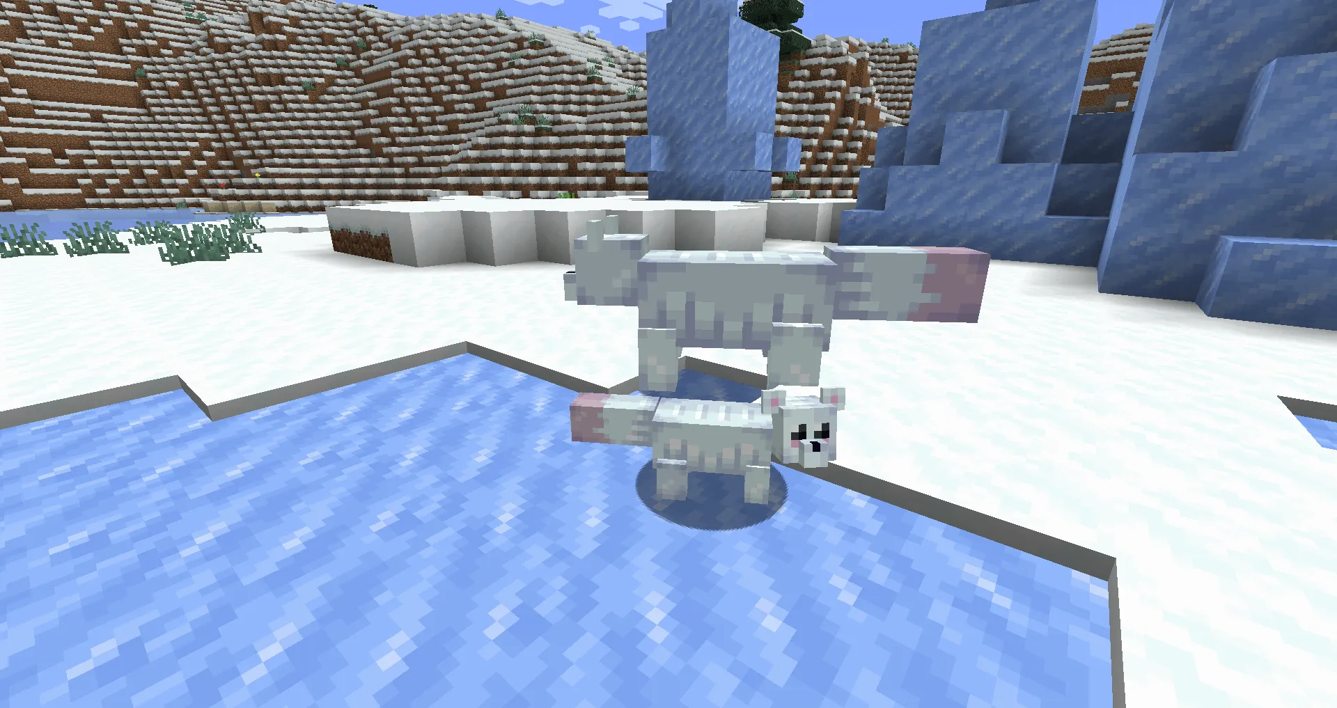 Zest Fest, Текстуры, Minecraft