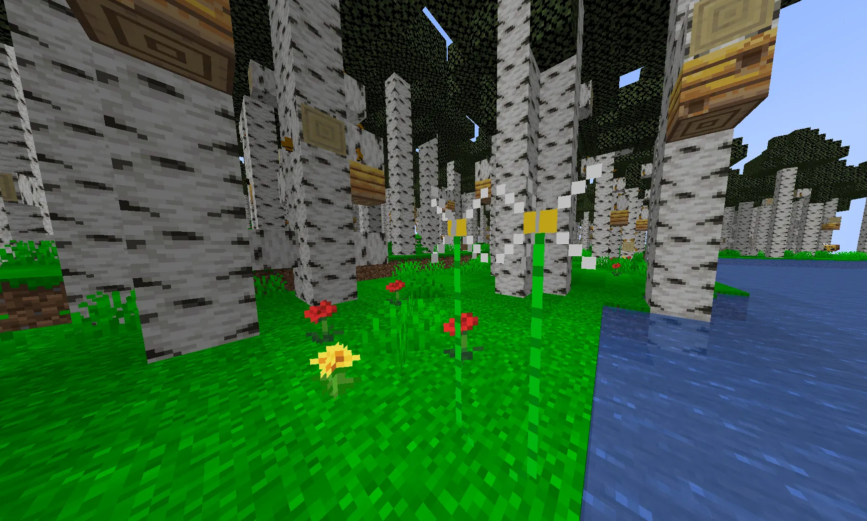 birch forest, Моды, Minecraft