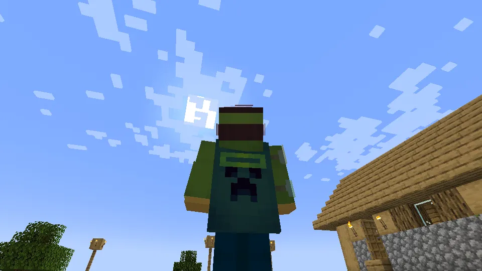OpenMCSkins, Моды, Minecraft