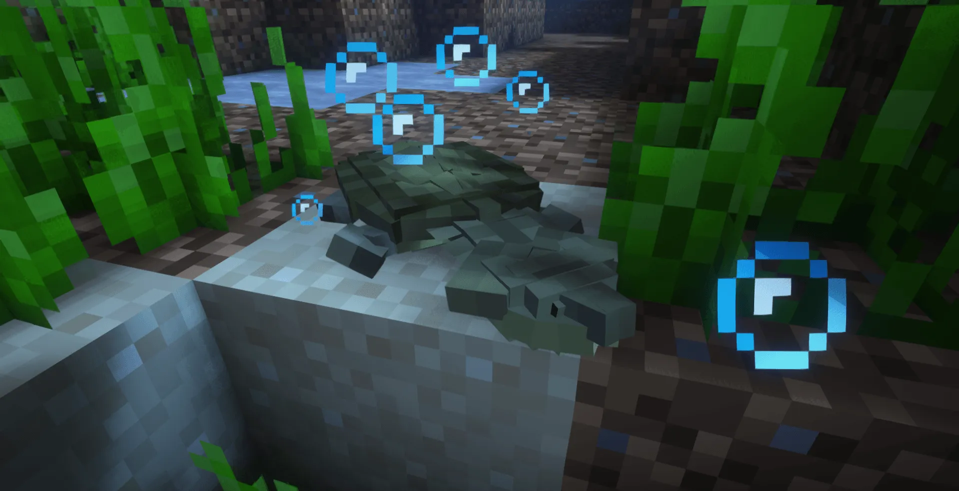 A Zoological Project, Моды, Minecraft