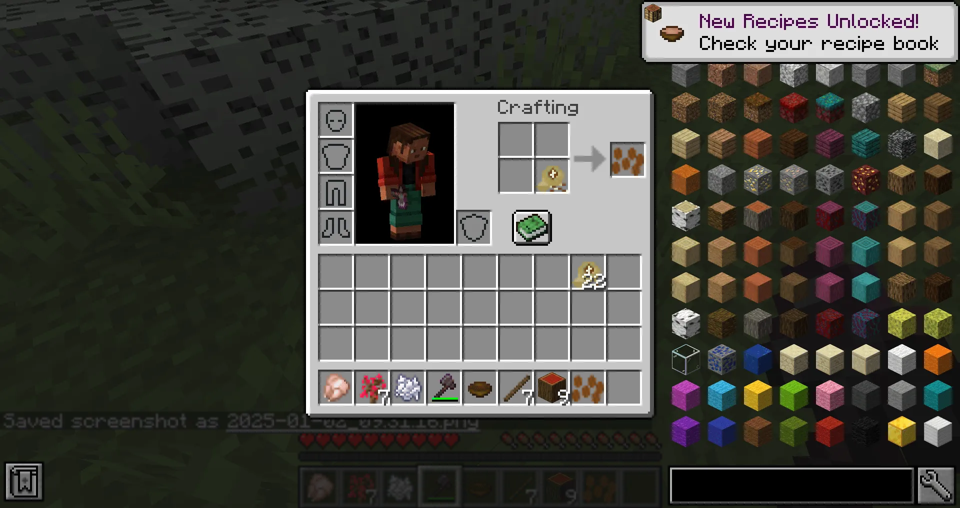 Brazilian Biomes, Моды, Minecraft