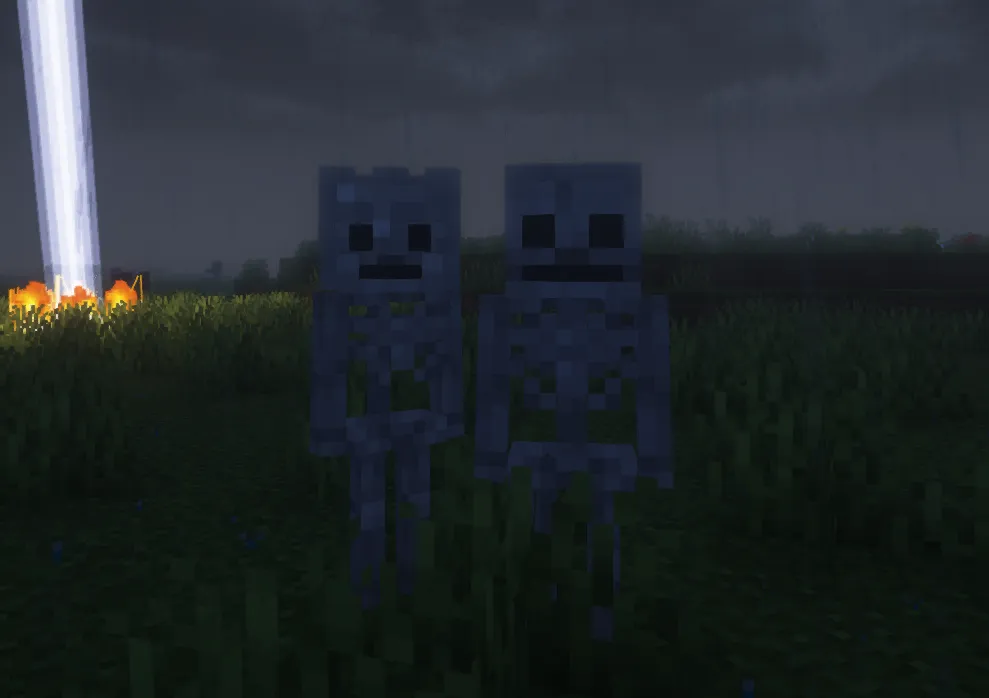 Skelly & Bones, Моды, Minecraft