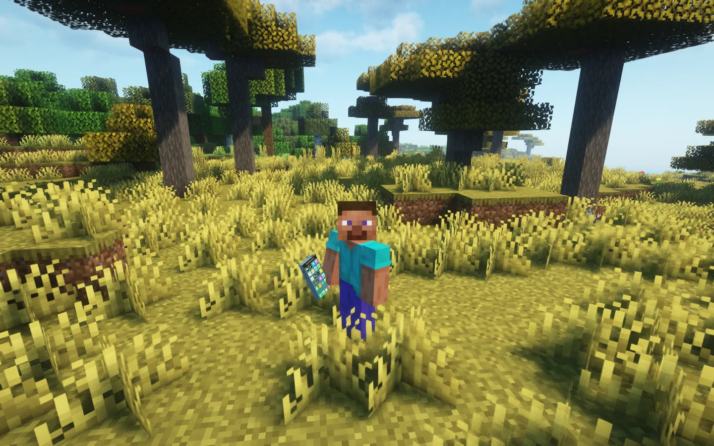 DECORATIVE GADGETS, Моды, Minecraft