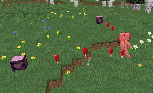 Creaki-chan, Моды, Minecraft