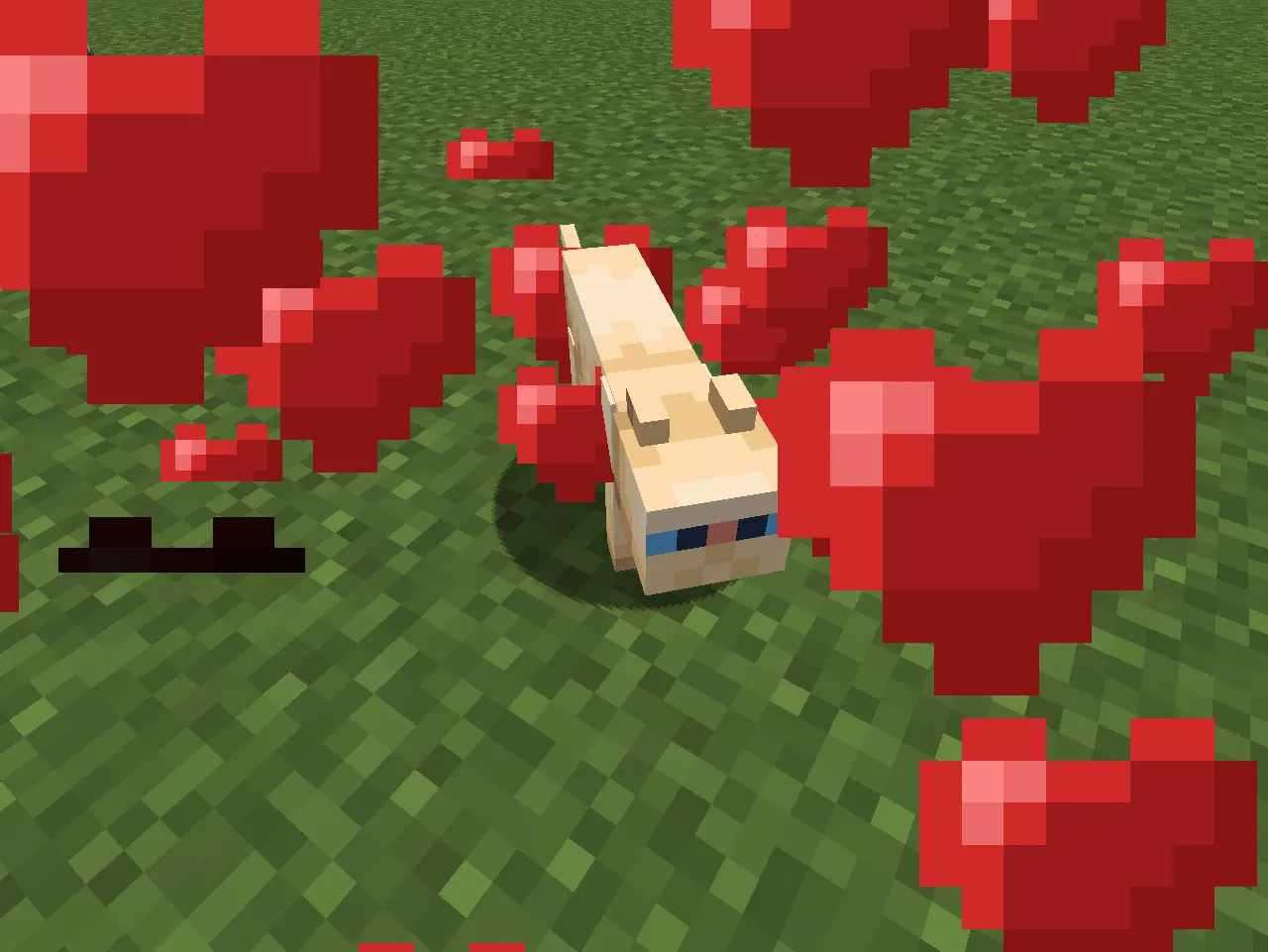 Pet your cat (Data pack Edition) — скриншот 1 (Дата-паки, Minecraft)