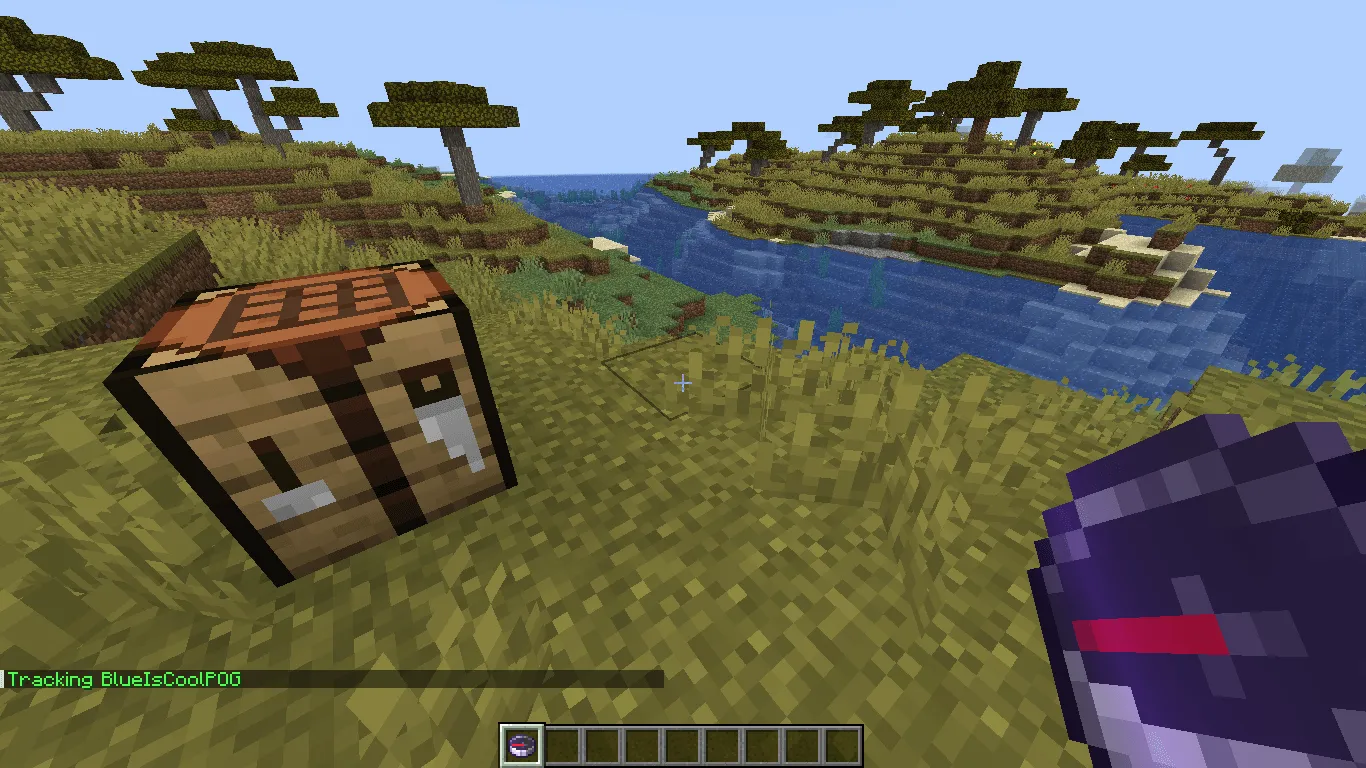 PlayerTrackerCompass — скриншот 1 (Плагины, Minecraft)