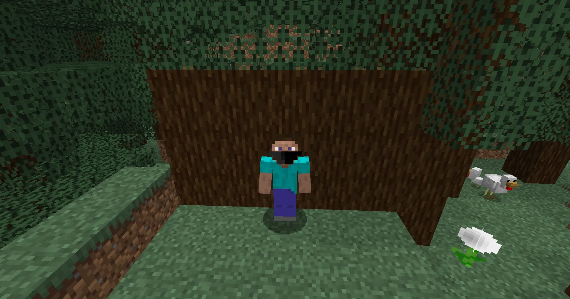 Dusk's Face Masks, Моды, Minecraft