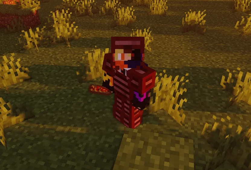 Hotdog+ and Tech, Моды, Minecraft