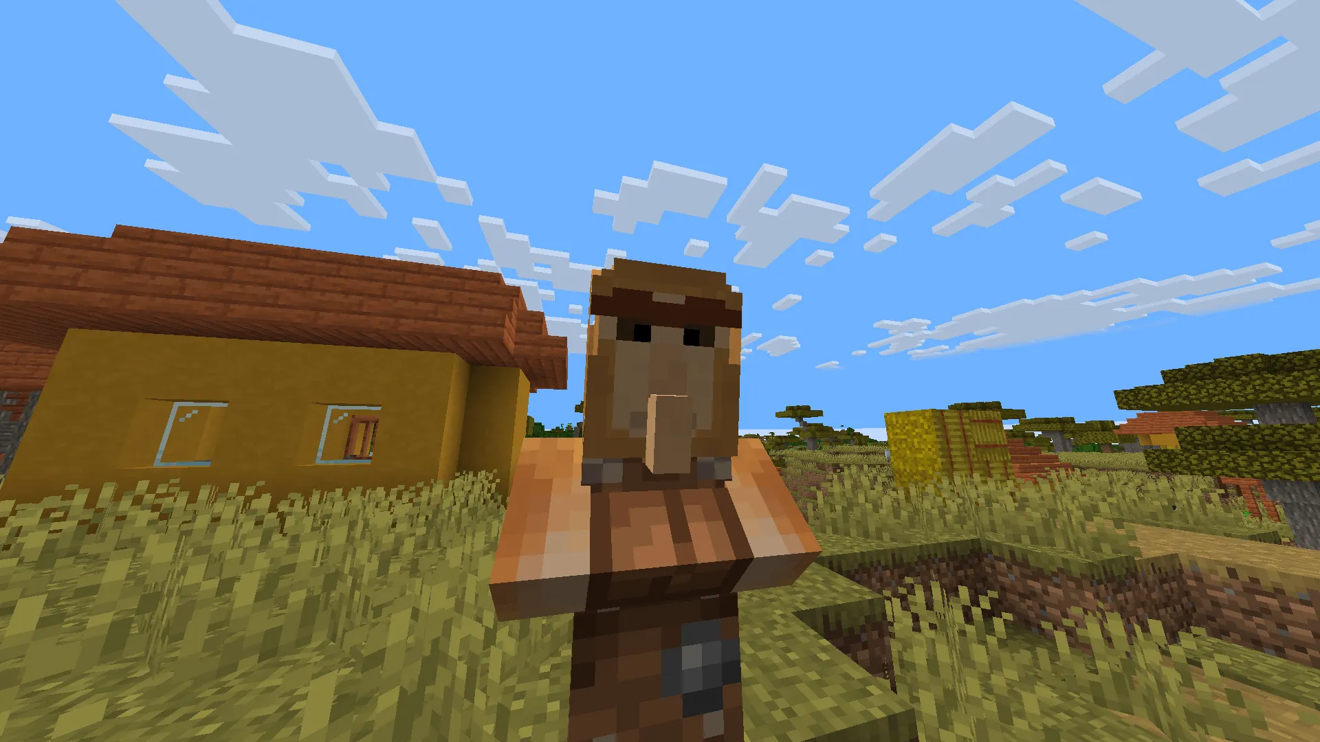 Proboscis Monkey Villager, Текстуры, Minecraft