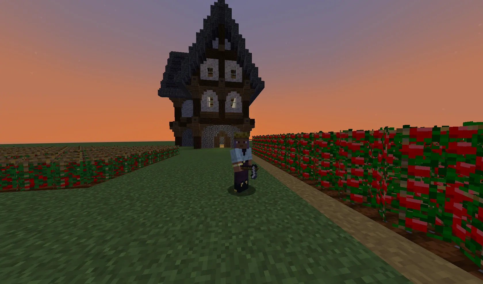 Food & More, Моды, Minecraft