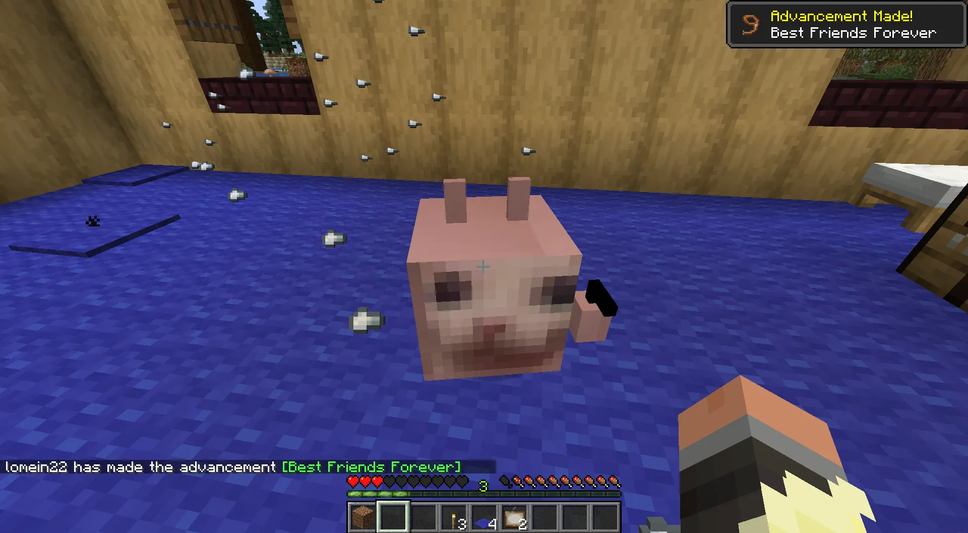 Floppa Worlds, Моды, Minecraft