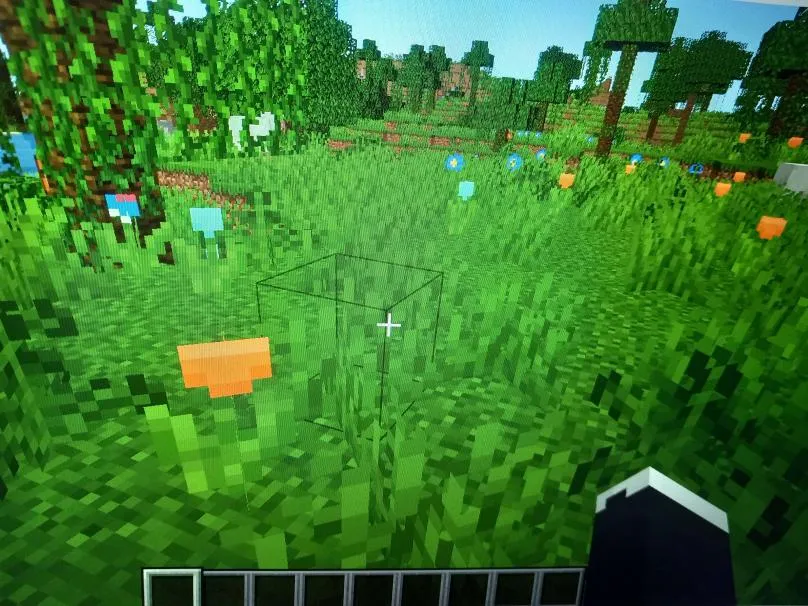 flowersdéco — скриншот 1 (Моды, Minecraft)