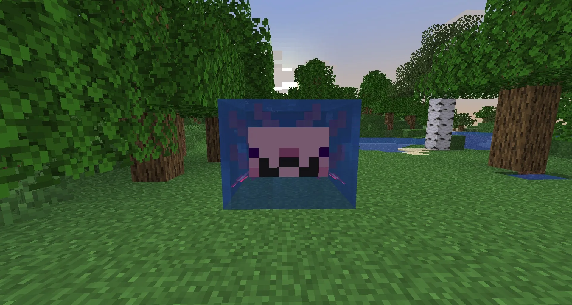 Mustache Axolotls! — скриншот 1 (Текстуры, Minecraft)