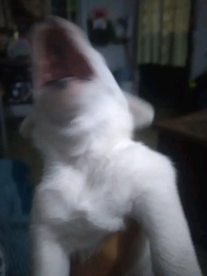 Blocklings world, Моды, Minecraft