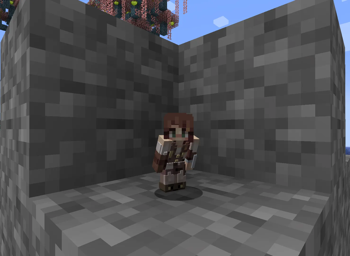 Rats SMP (Fanmade) — скриншот 3 (Модпаки, Minecraft)
