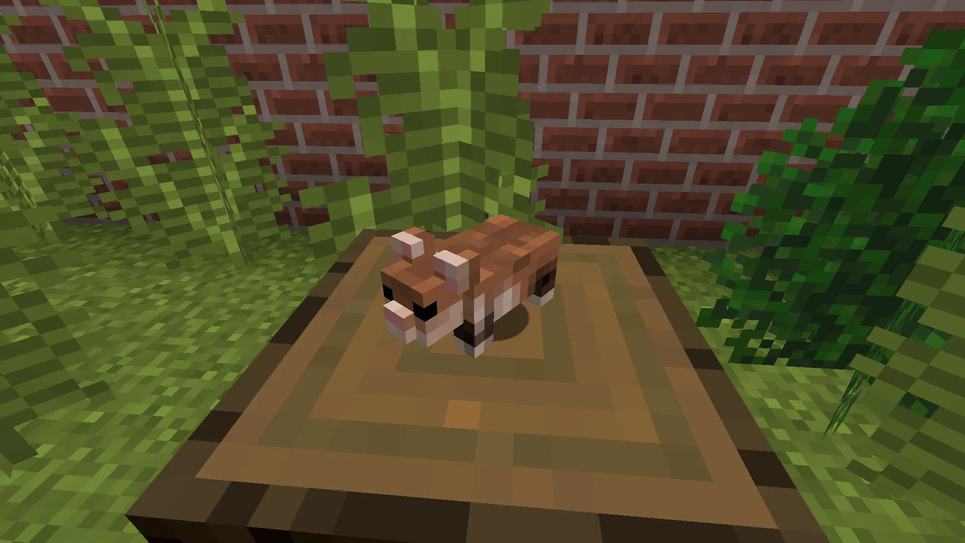 European Wildlife — скриншот 2 (Моды, Minecraft)