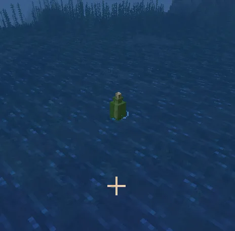 Pirates & Treasures, Моды, Minecraft