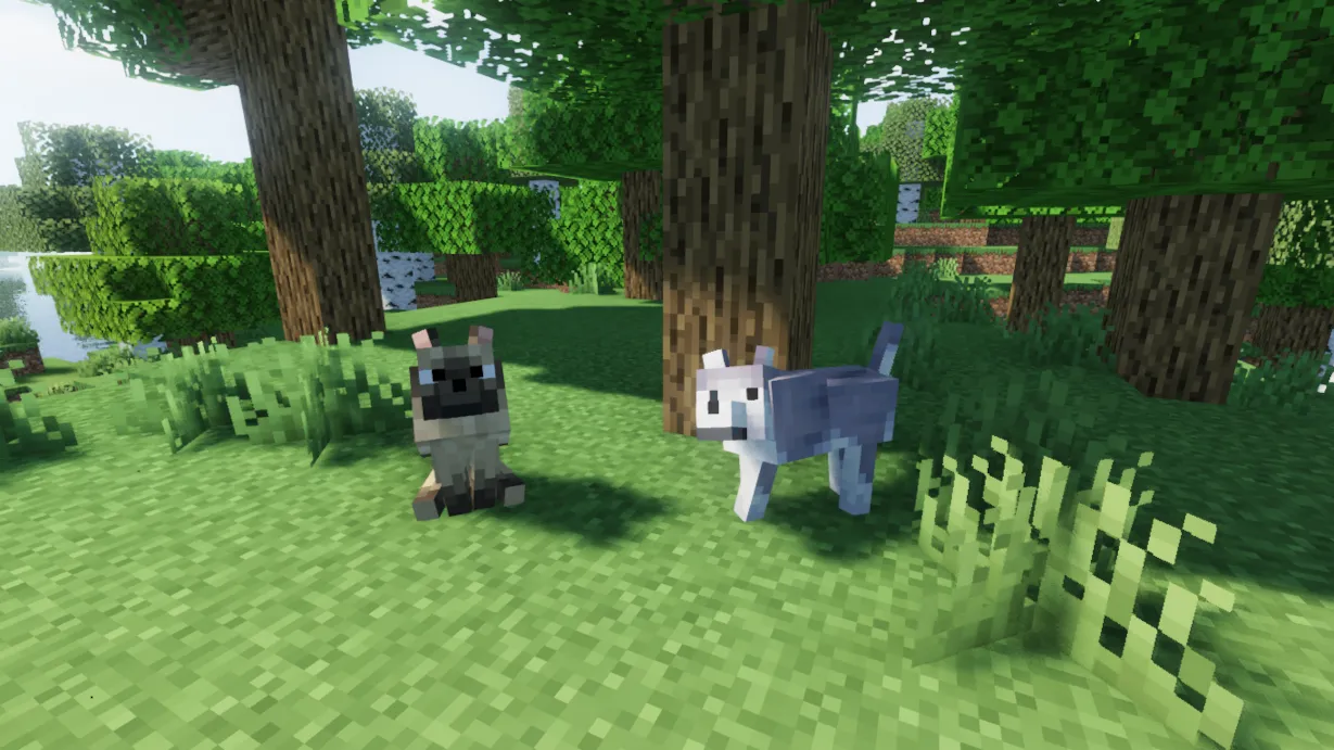Dr. Kilobyte's Wild Wolves, Текстуры, Minecraft
