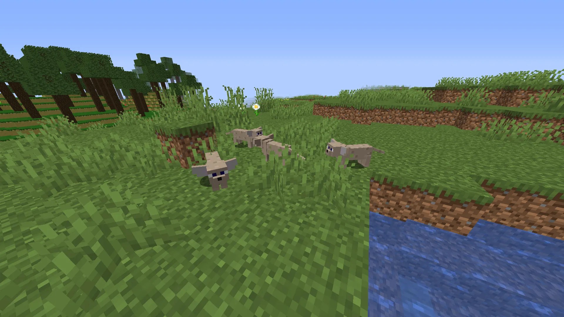 Funni Creatins, Моды, Minecraft