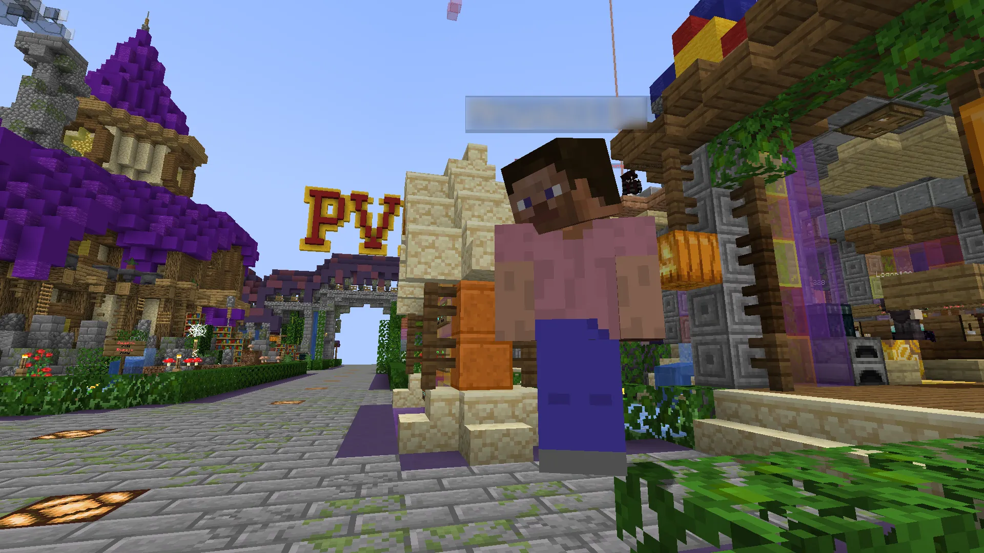 DSWG Random Steve And Alex, Текстуры, Minecraft