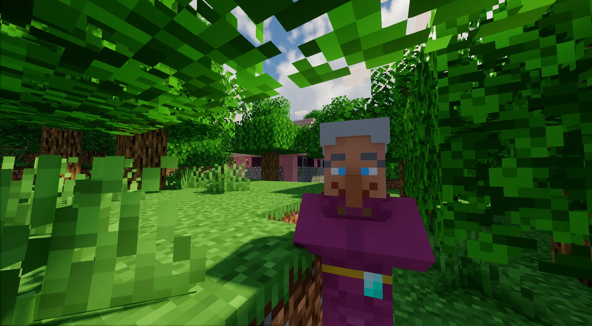 La abuelita (Forge & Fabric), Моды, Minecraft