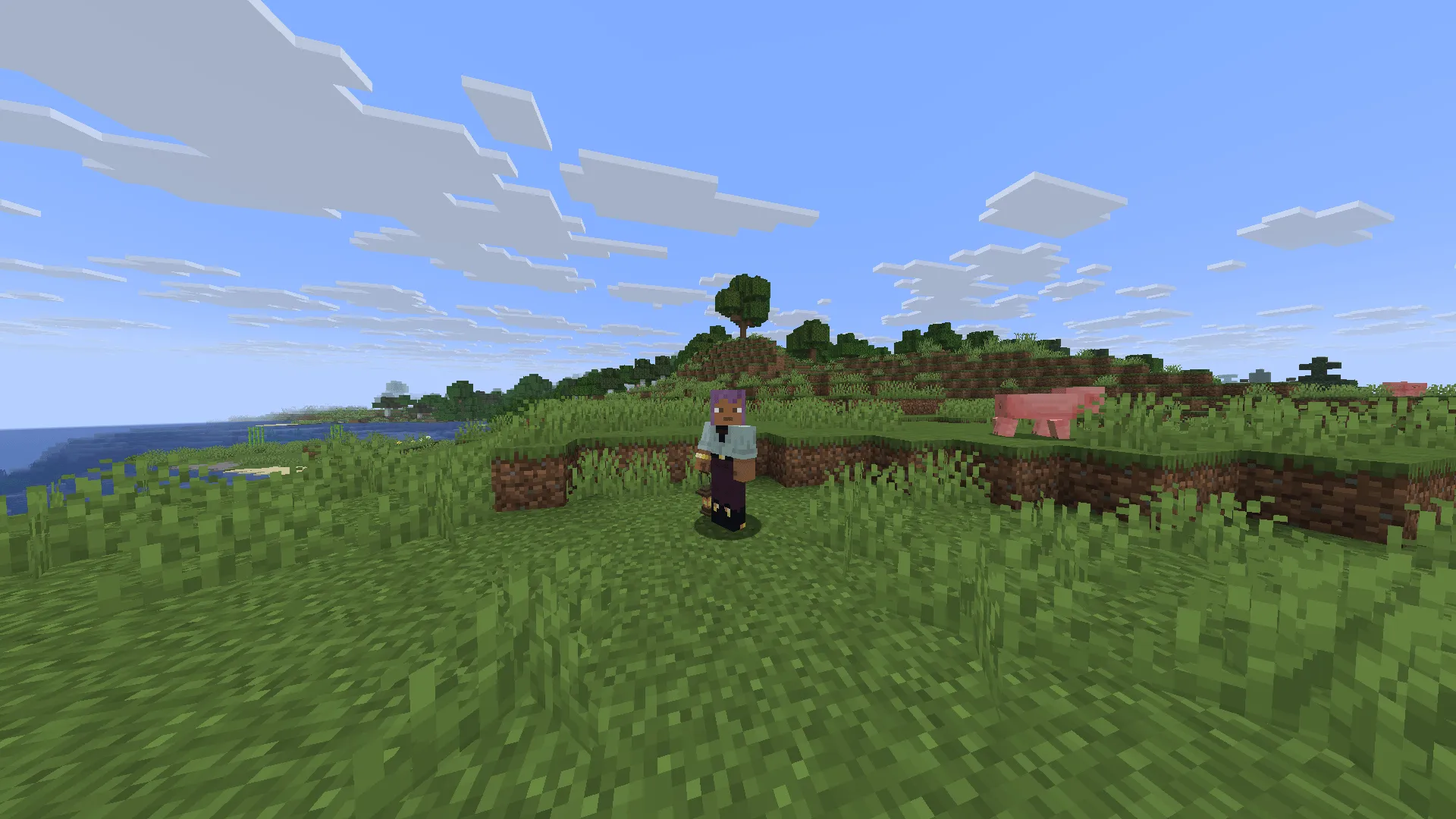 MnafTorch, Текстуры, Minecraft