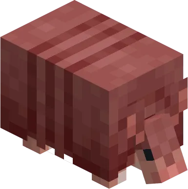 Varied Armadillos, Текстуры, Minecraft
