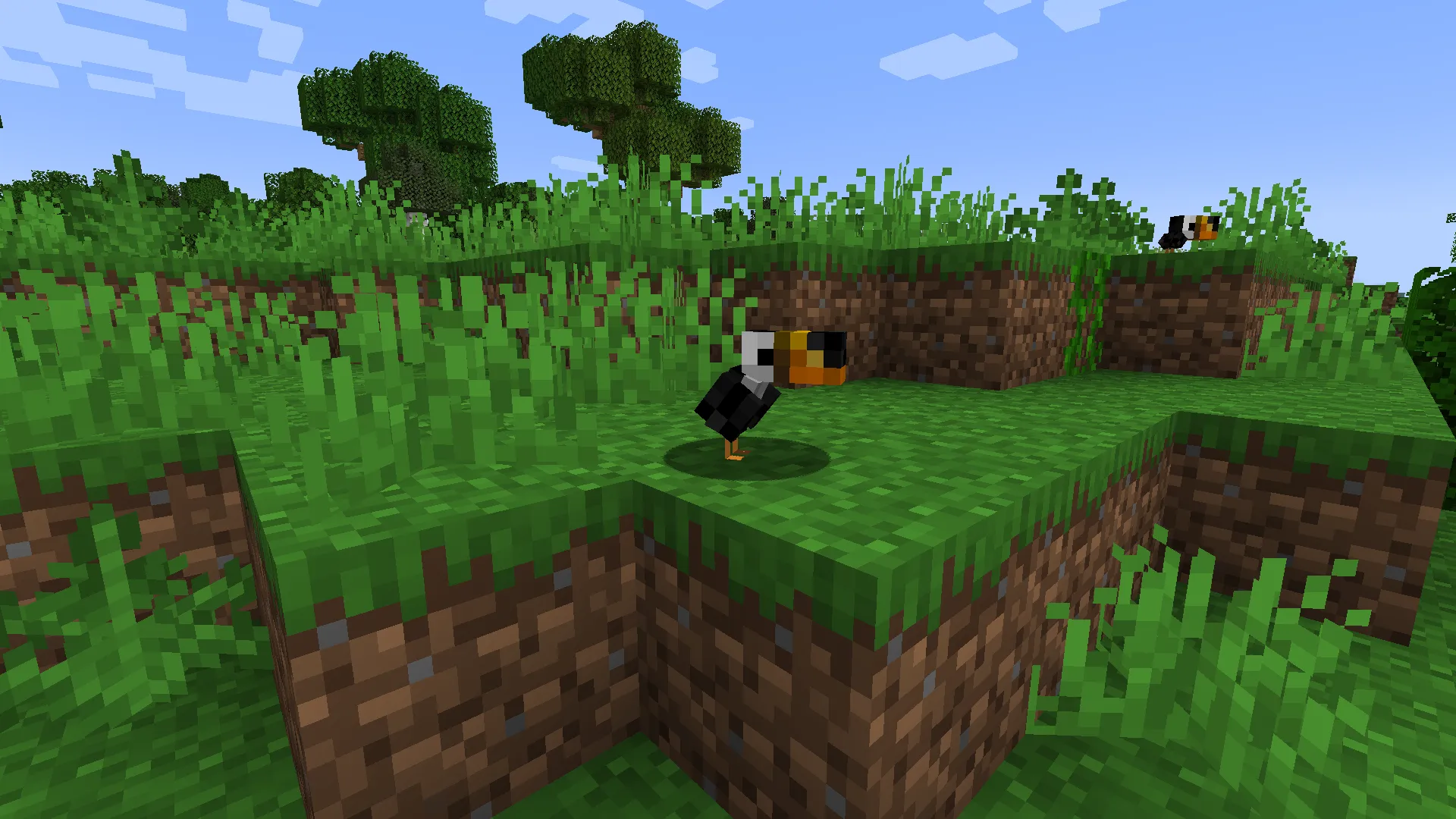 Katt's Ornithology, Моды, Minecraft