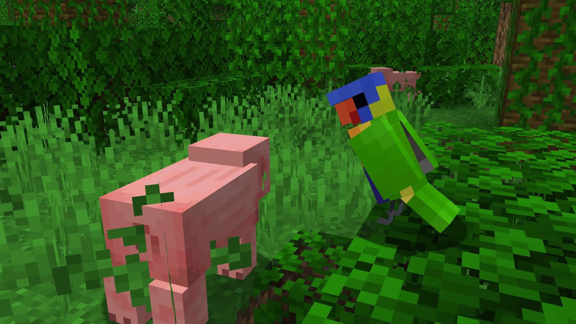 Aussie Parrots — скриншот 10 (Текстуры, Minecraft)