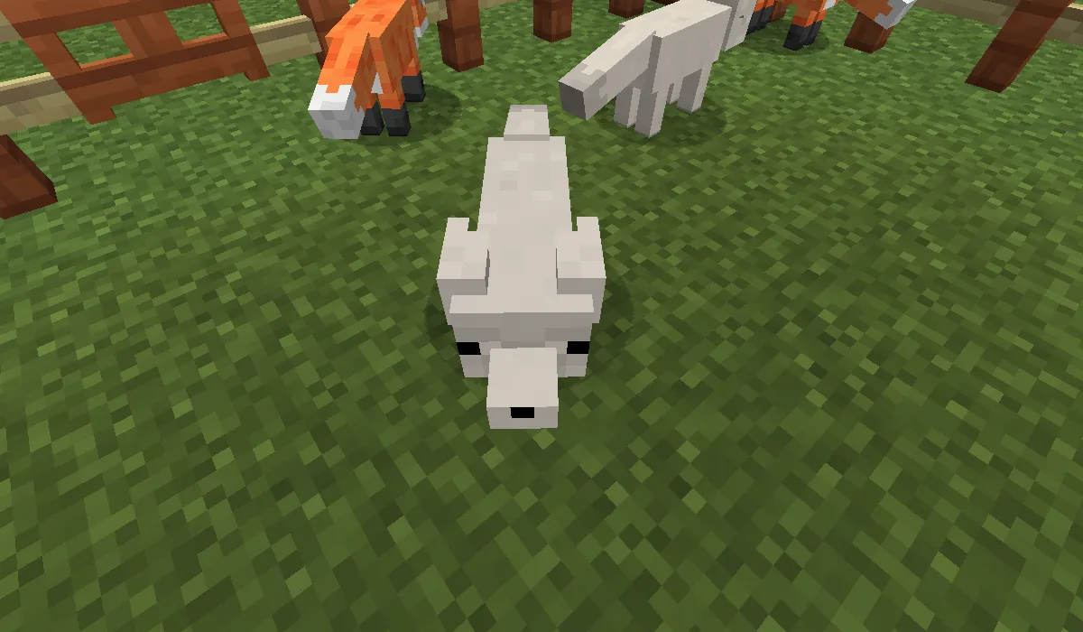 Outfox Fox Variants — скриншот 1 (Текстуры, Minecraft)
