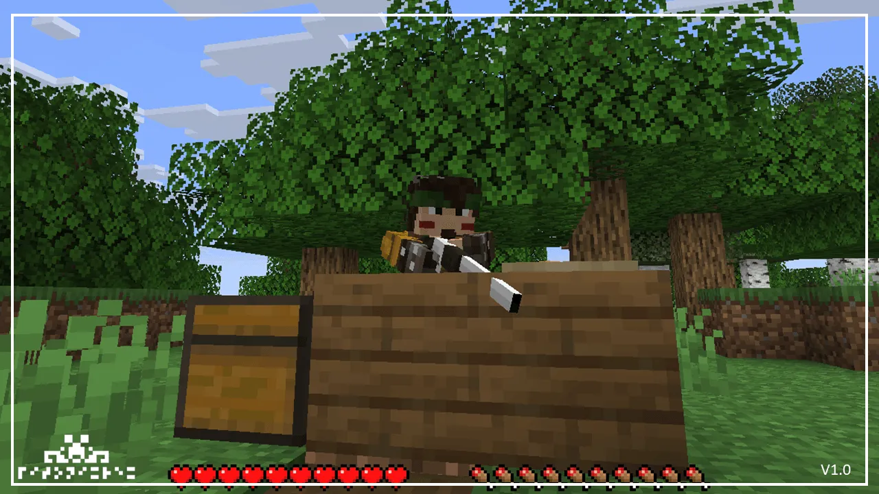 Crossbow Shotgun, Текстуры, Minecraft