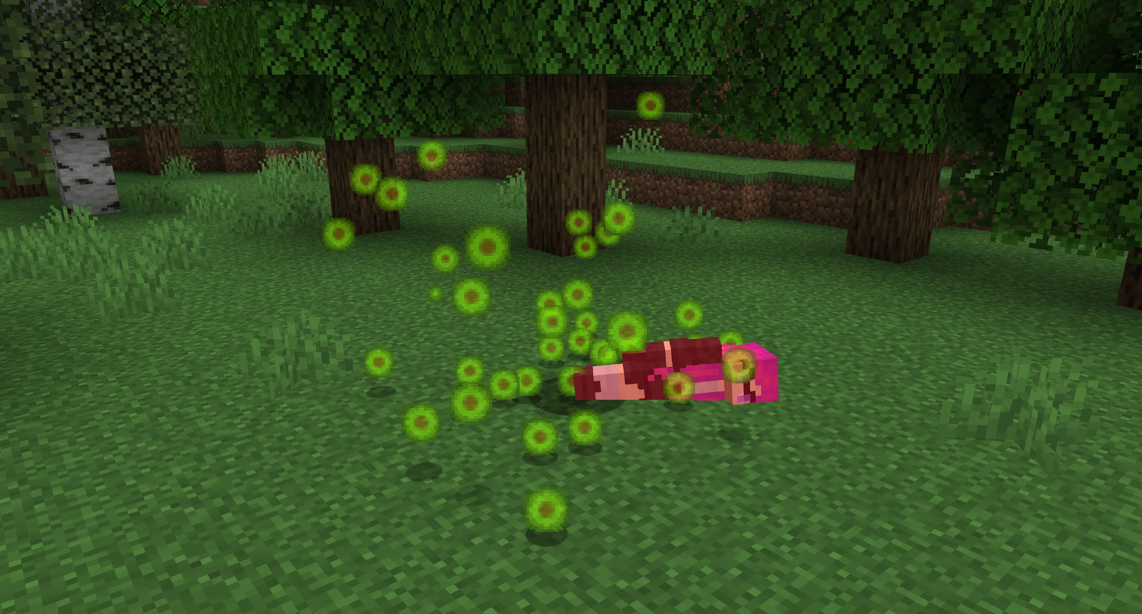 Stay Experienced, Моды, Minecraft