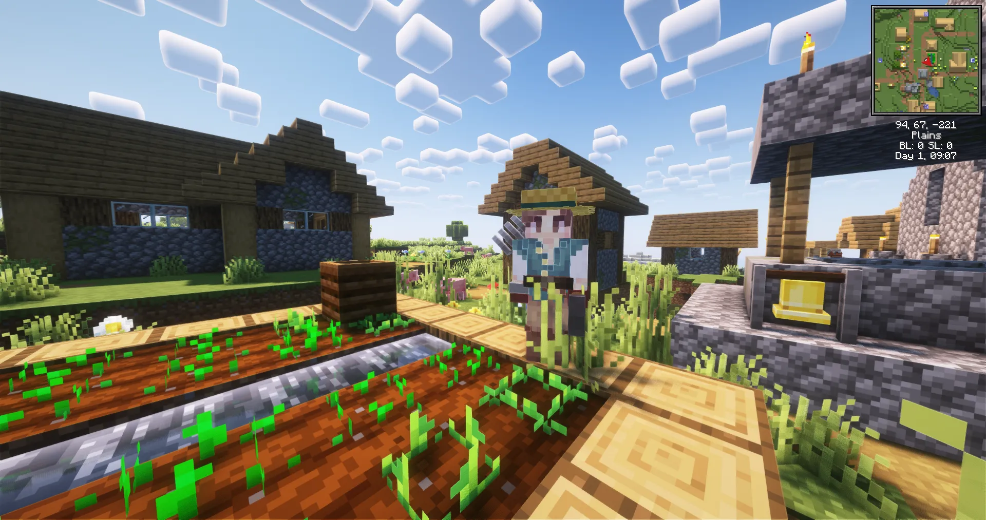 RPG Stylish Player Villagers, Текстуры, Minecraft