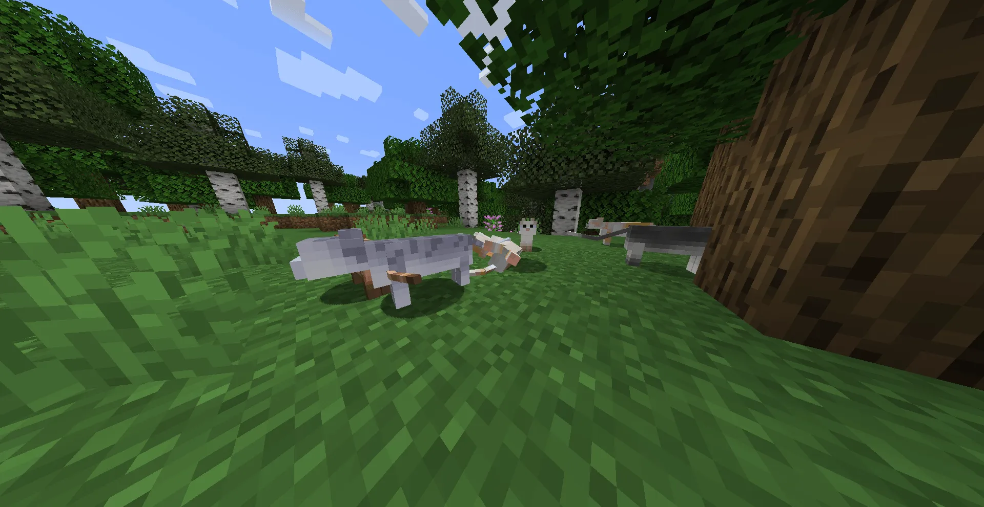 Warrior Cats Events, Моды, Minecraft