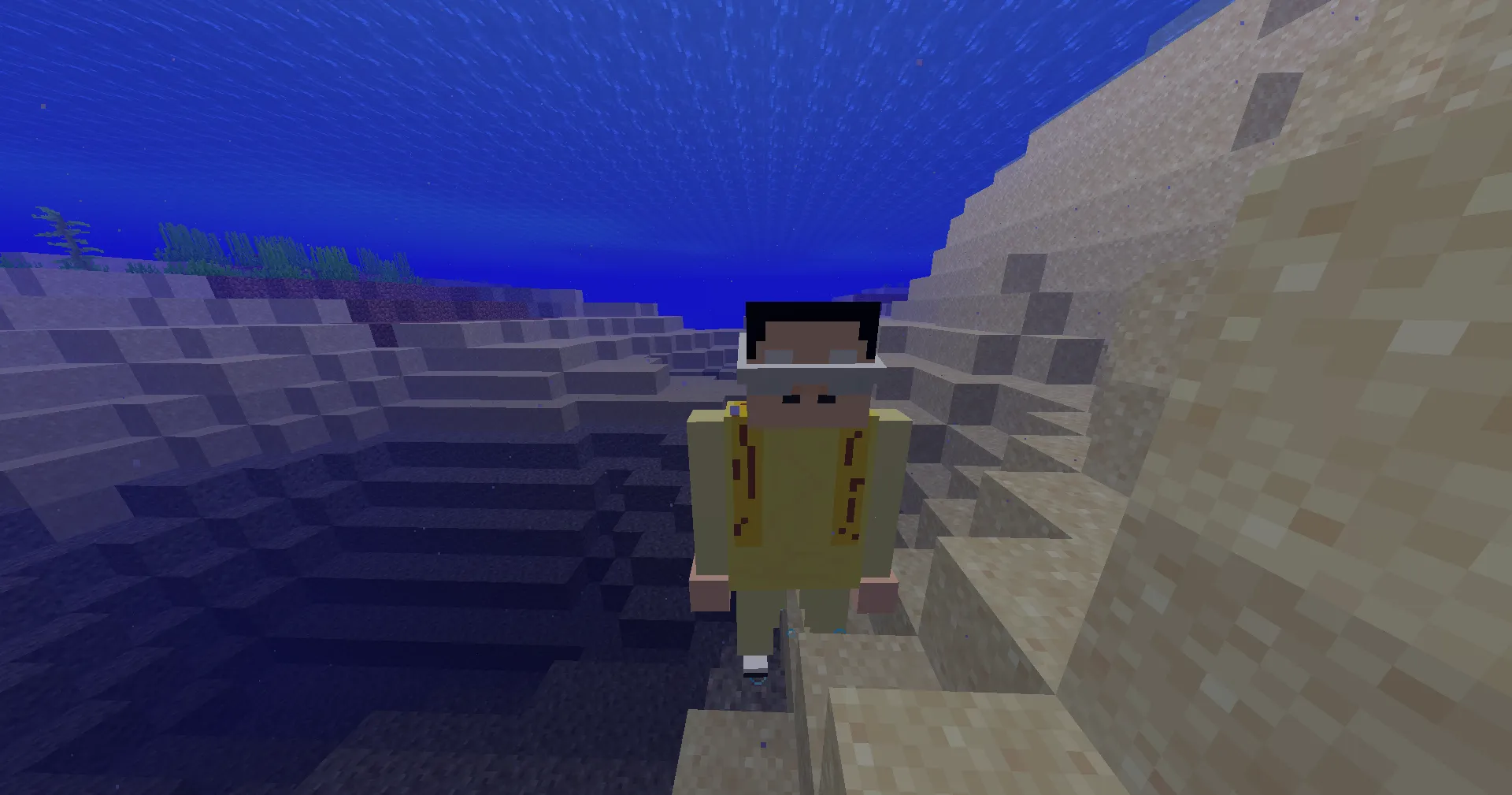 PPAP Dweller, Моды, Minecraft