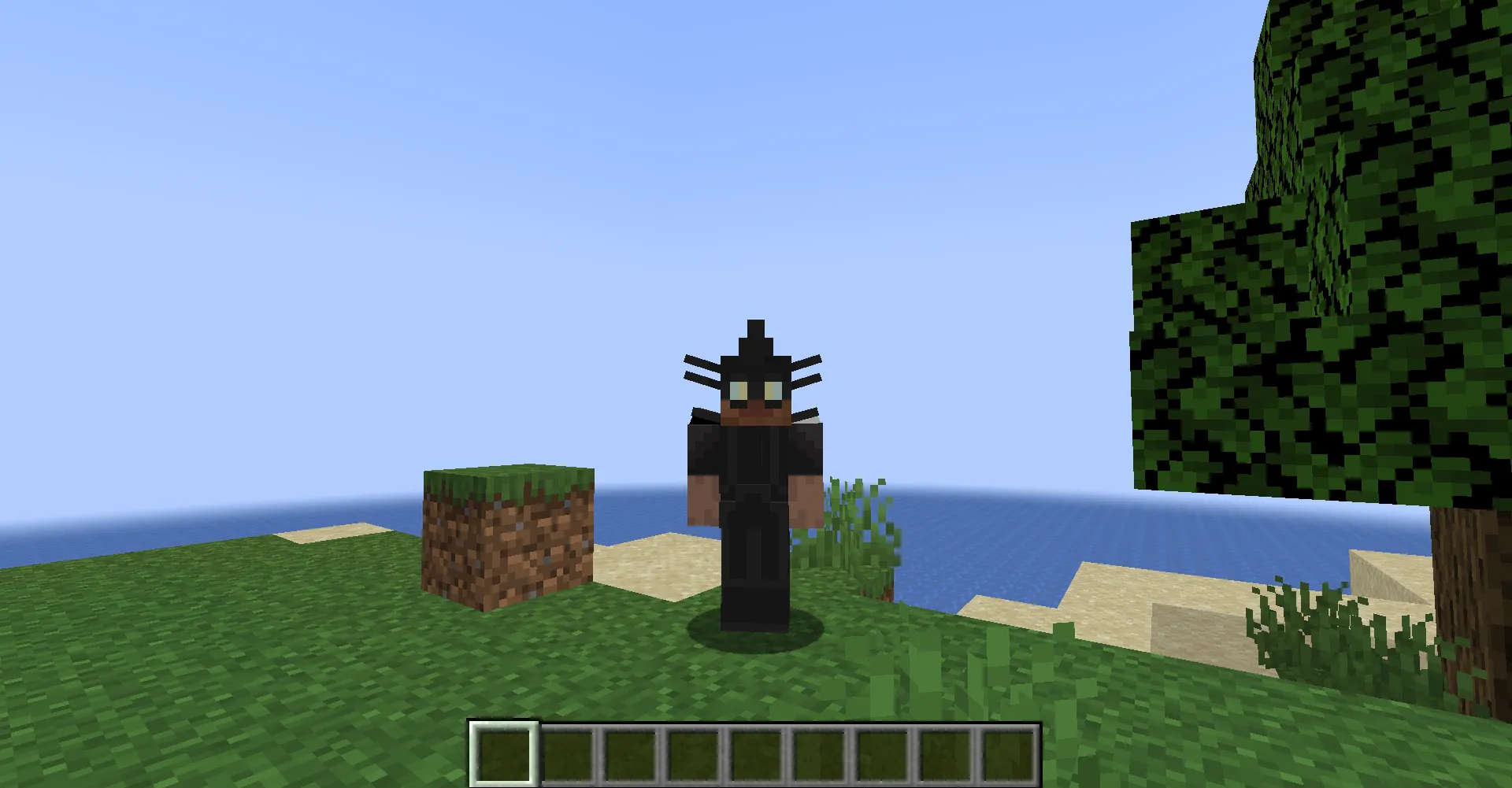 Dark Infection, Моды, Minecraft