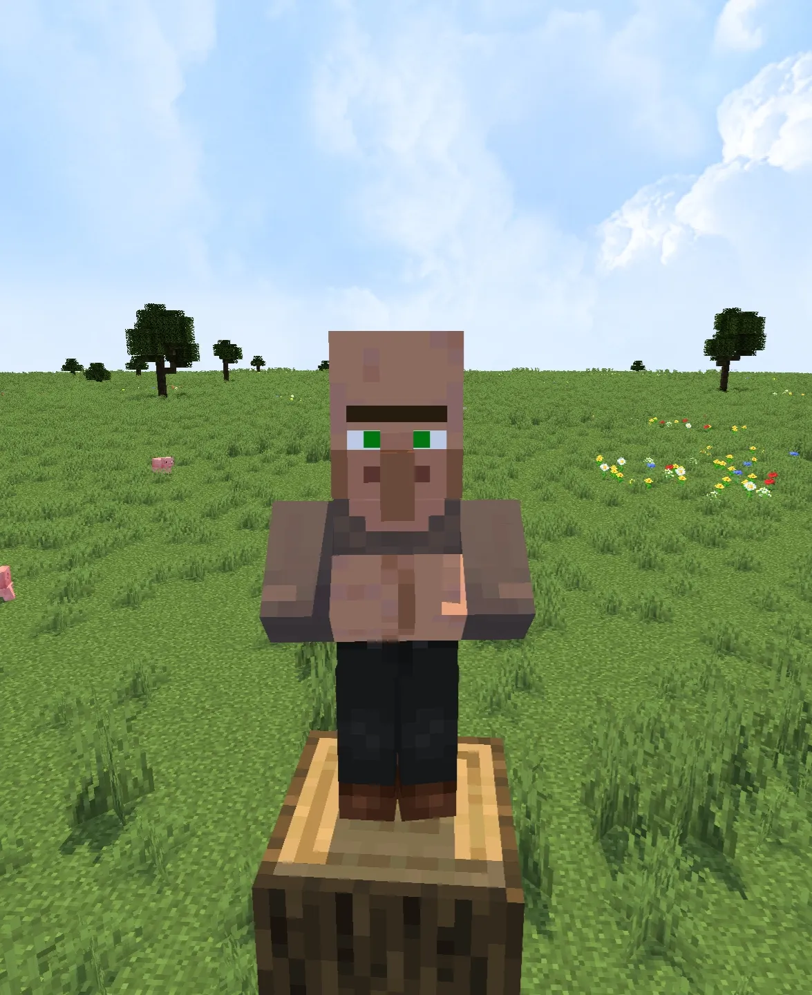 Modern Villagers! (Fresh Animations), Текстуры, Minecraft
