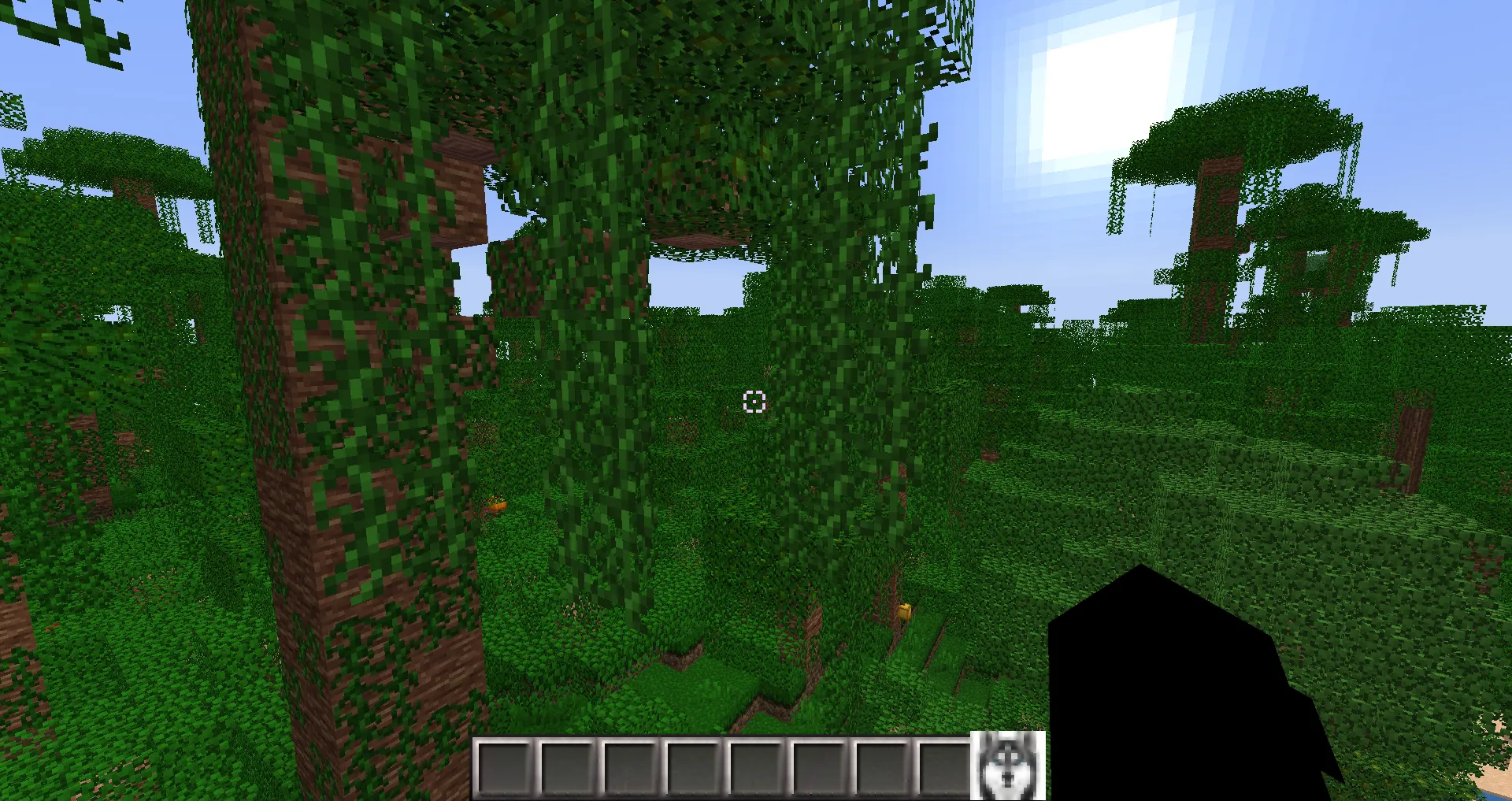 HuskyCraft, Текстуры, Minecraft